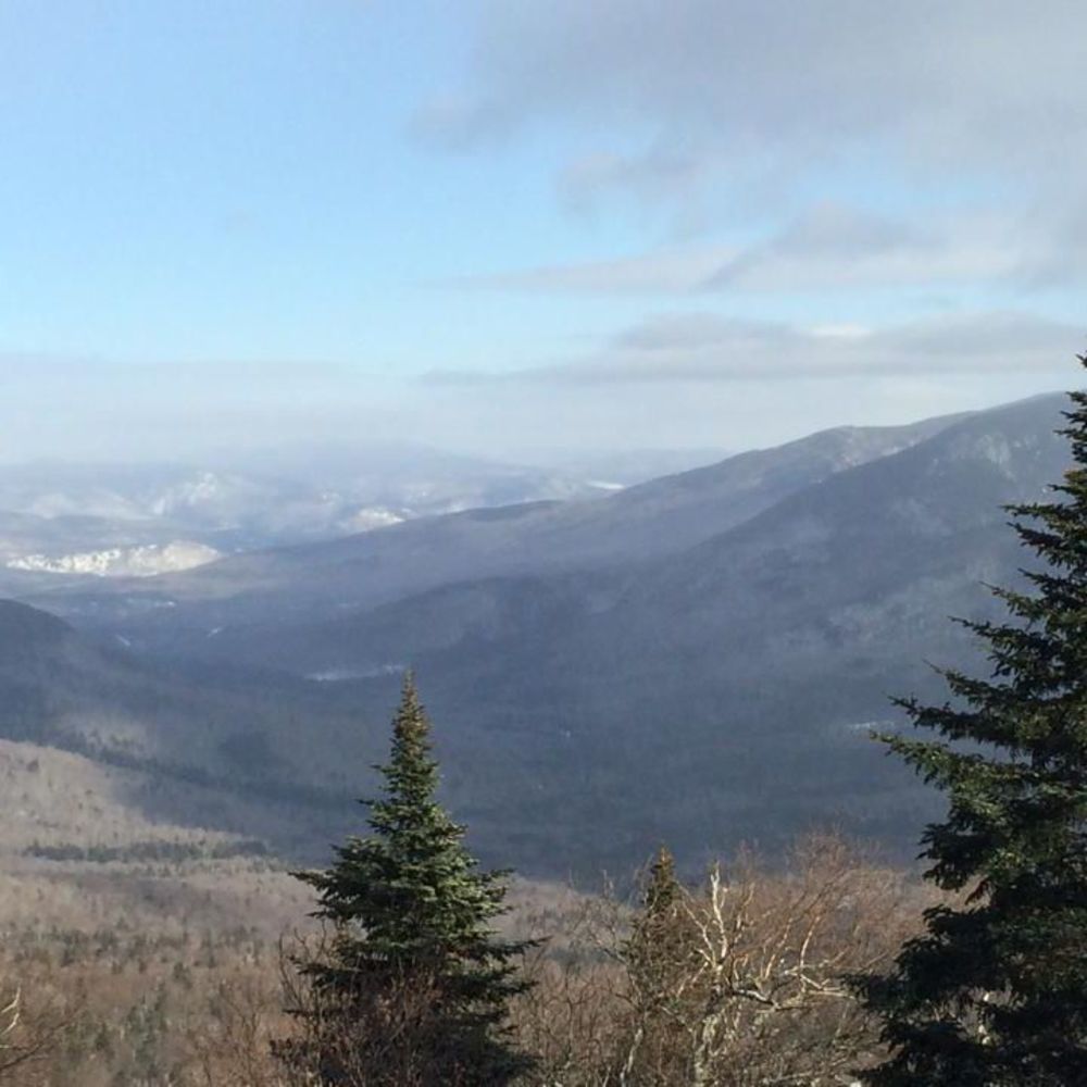 Meet your Posher, Heidi